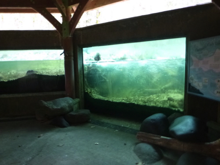 Streamwatch underwater viewing area with windows – Salmon River – decorative boulders inside – paved surface